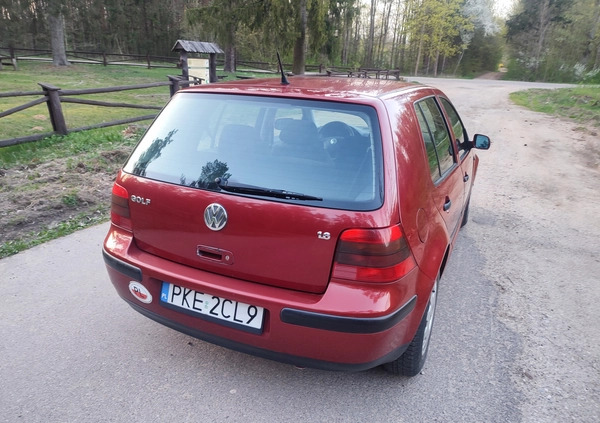 Volkswagen Golf cena 6100 przebieg: 187000, rok produkcji 1998 z Żukowo małe 466